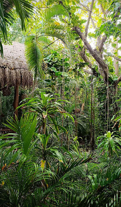 Gartenanlage Viva Azteca by Wyndham - All Inclusive Resort