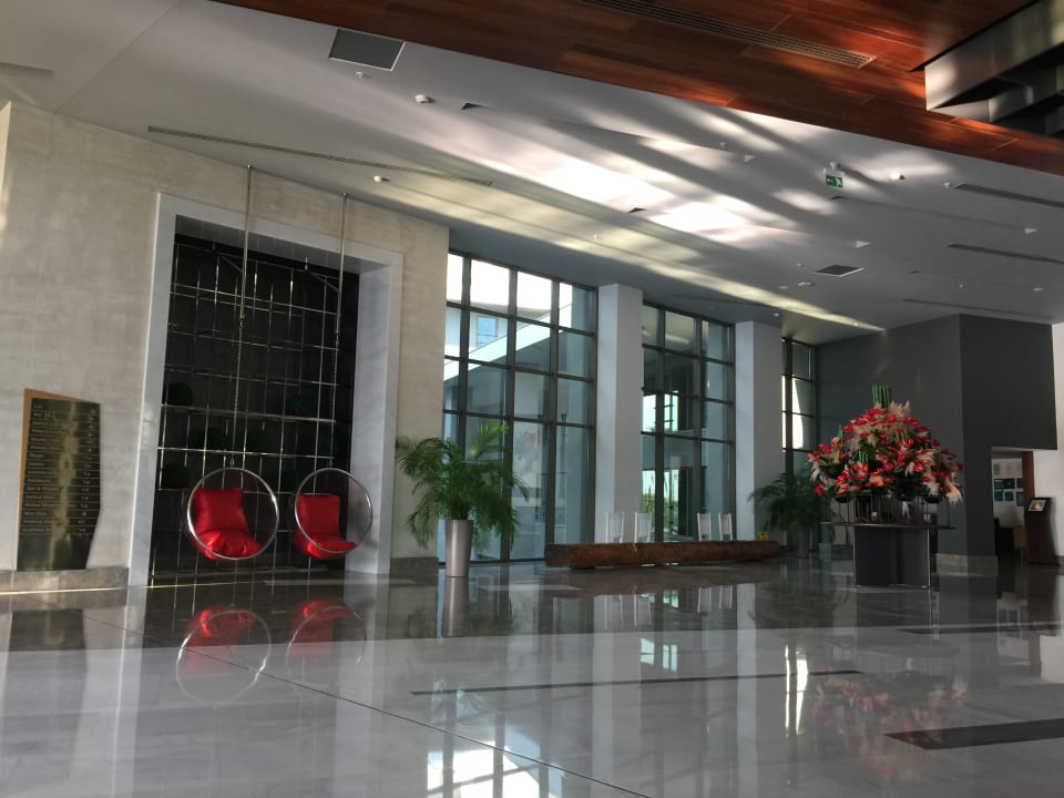 Lobby Acanthus Cennet Barut Collection