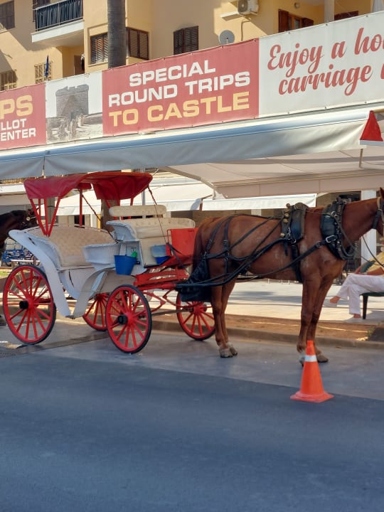 Sonstiges Hipotels Hipocampo Playa