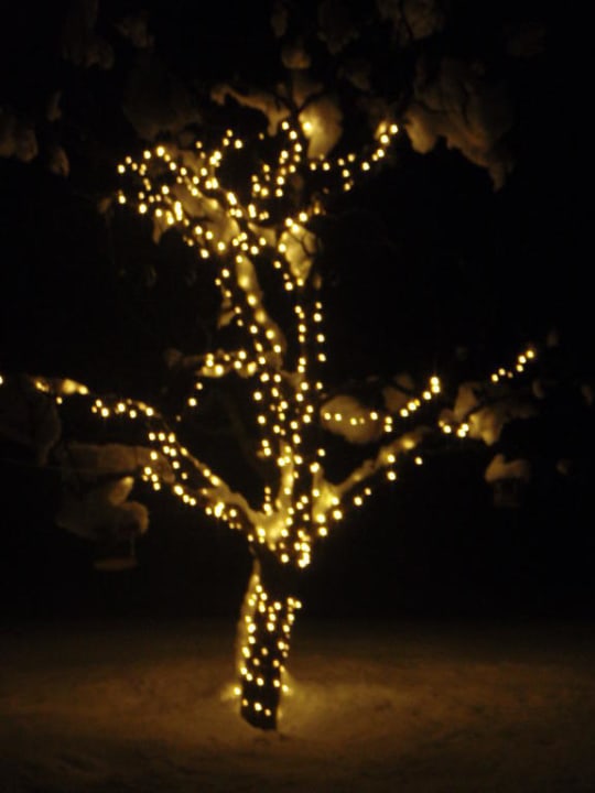 Blick in den verschneiten Garten bei Nacht Pension Pinzgauer Hof