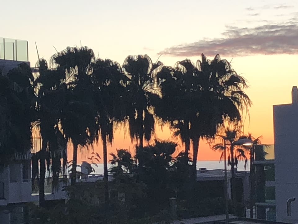 Ausblick Hotel Riu Palace Palmeras
