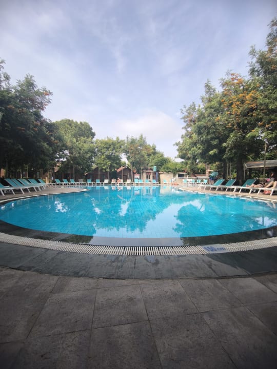 Pool Can Garden Beach