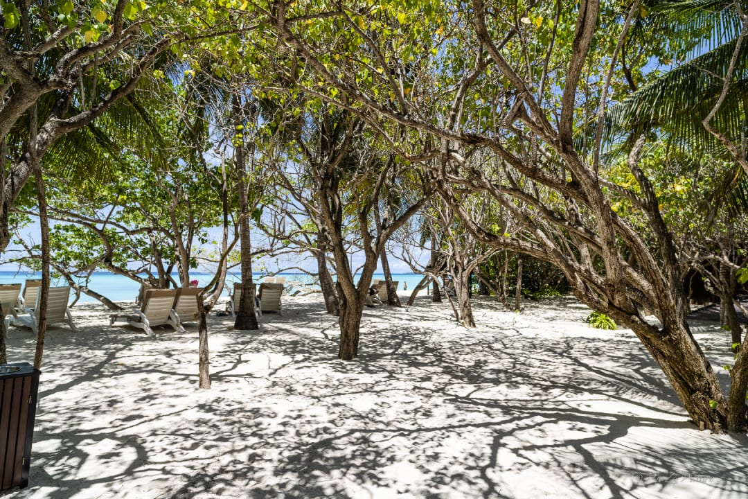 Gartenanlage Summer Island Maldives