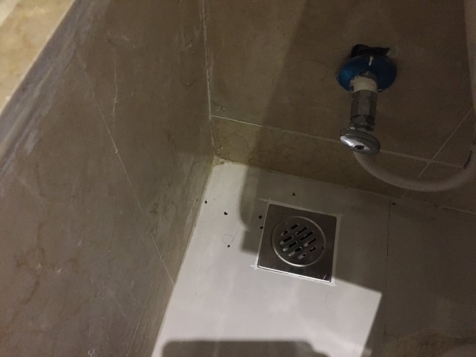 Zimmer Villas Bavaro Resort & Spa