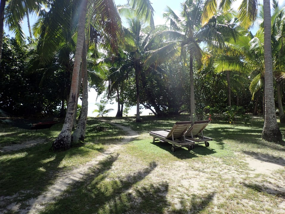 Gartenanlage Hotel Fafa Island Resort