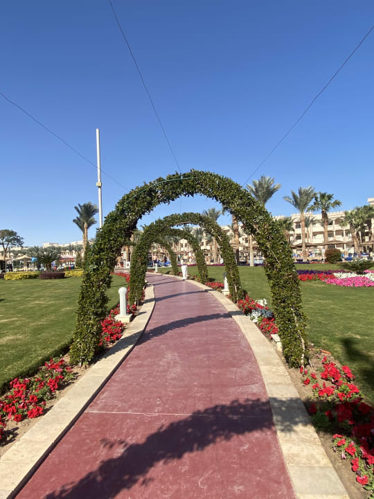 Gartenanlage Pickalbatros Palace Resort