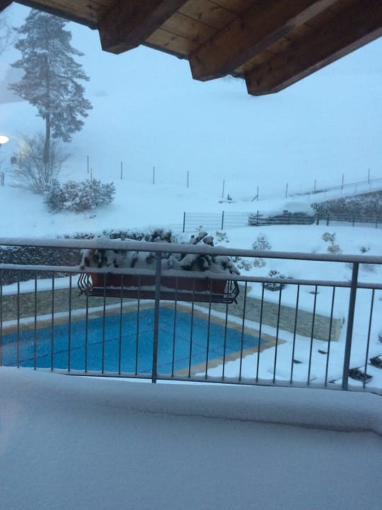 Pool Naturparkhotel Adler