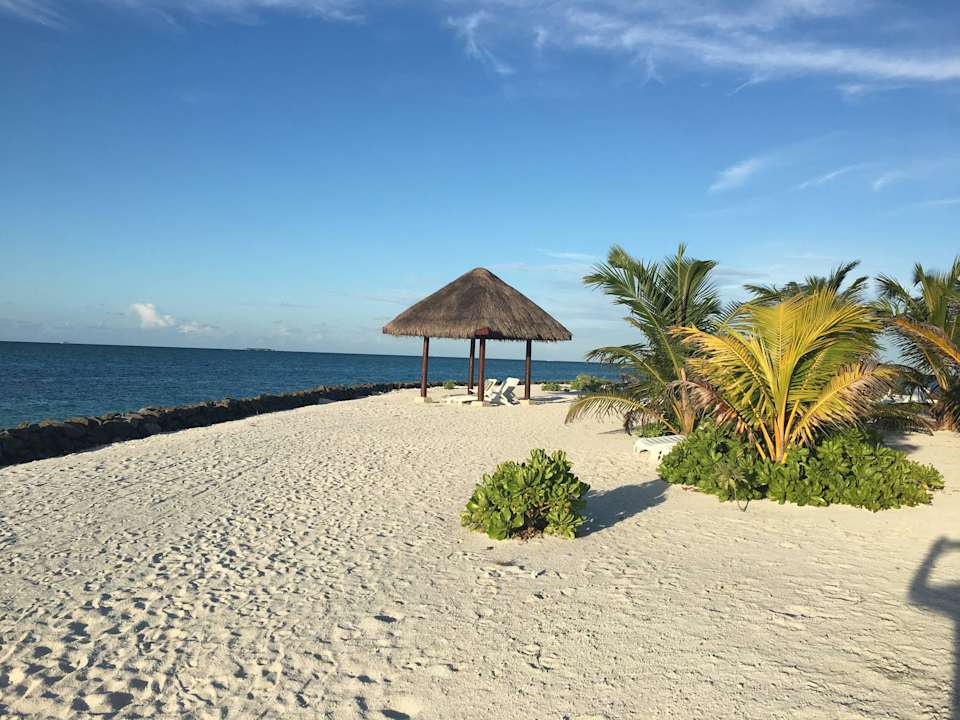 Strand Summer Island Maldives