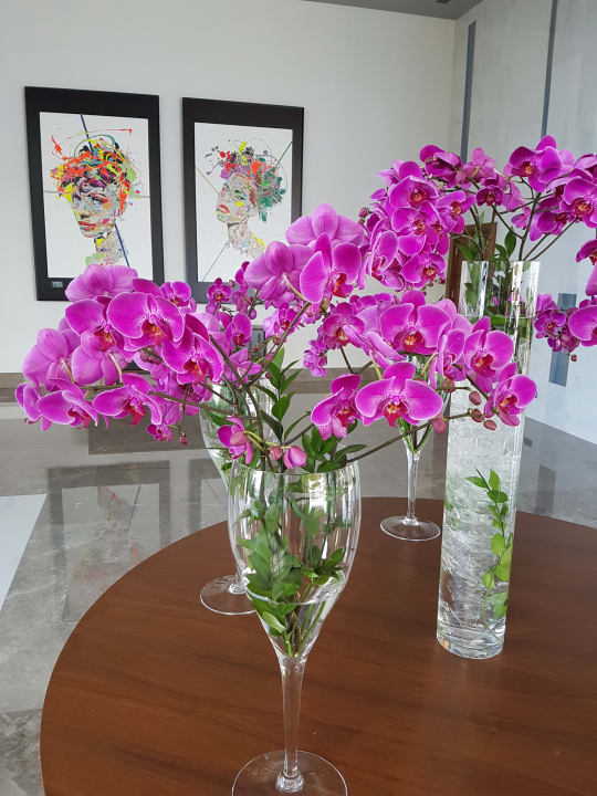 Lobby Acanthus Cennet Barut Collection