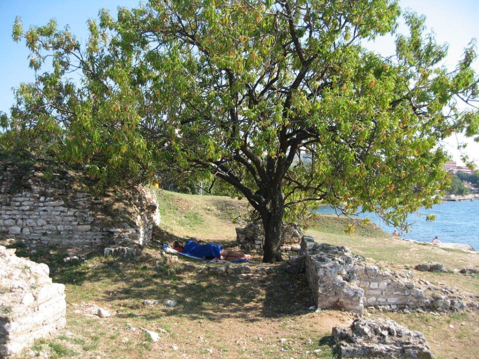 Mittagspause Hotel Parentium Plava Laguna