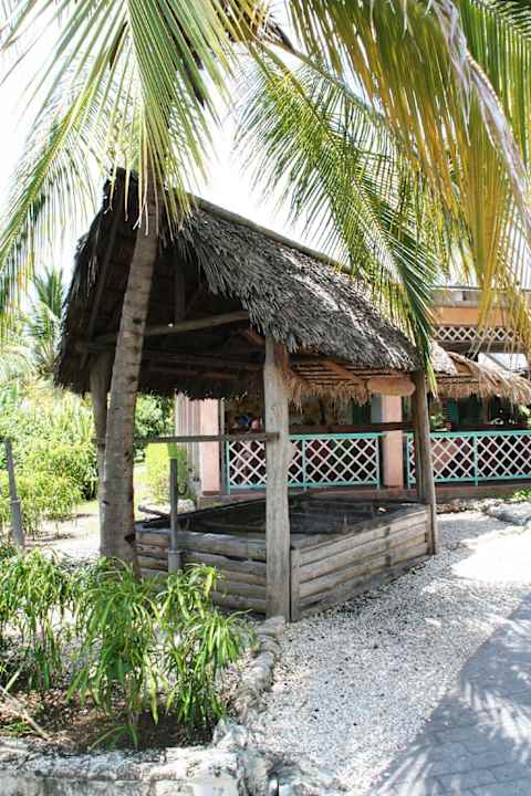 Hier wird freitags Spanferkel gegrillt Hotel Playa Pesquero