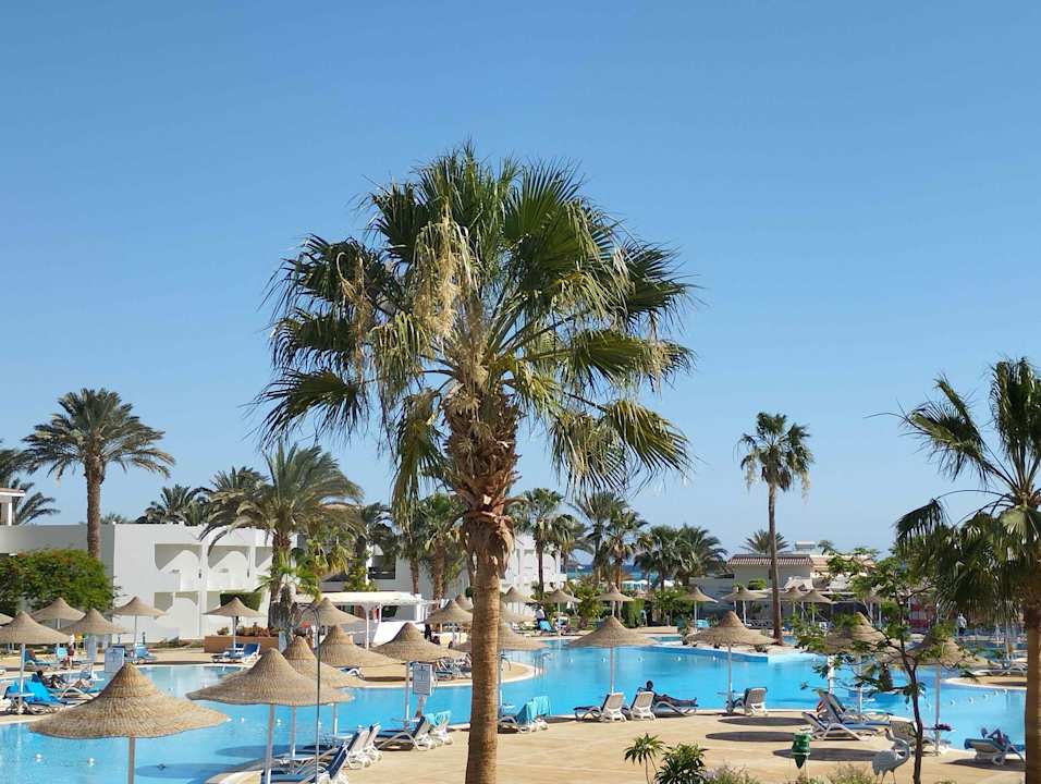 Pool JAZ Palmariva Beach