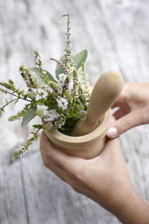 Sonstiges Vitalhotel Edelweiss