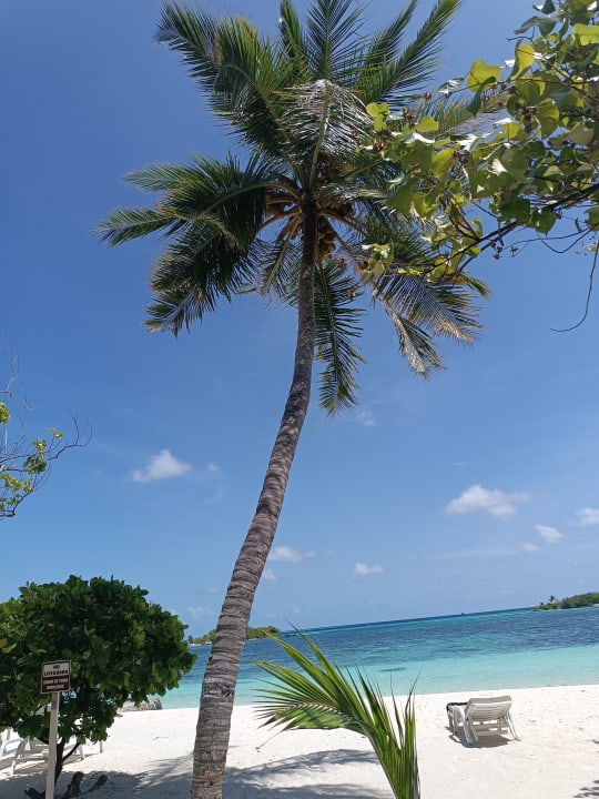 Strand Adaaran Select Hudhuran Fushi - Premium All Inclusive