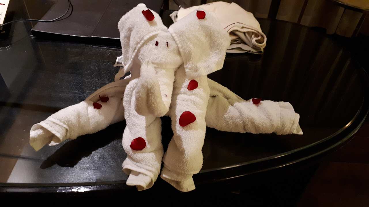 Zimmer JW Marriott Hotel Chandigarh