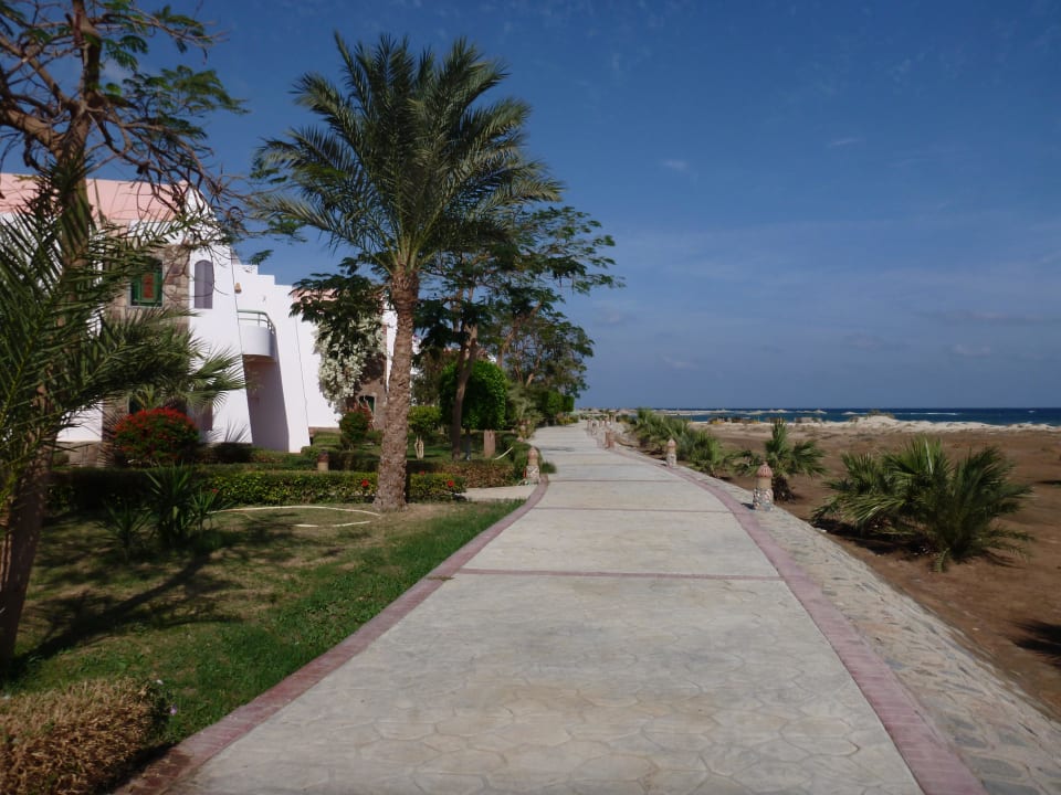 Weg zum Speisesaal Shams Alam Beach Resort