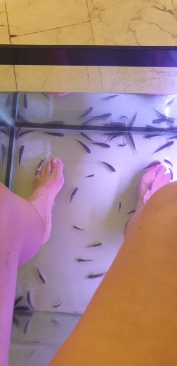 Sport & Freizeit Selectum Family Comfort Side