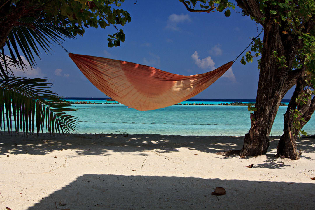 Hängematte von den Nachbarn Summer Island Maldives