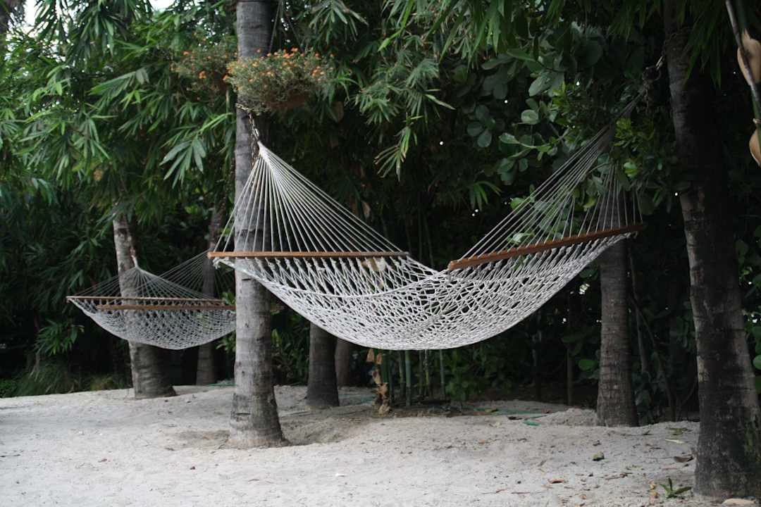 Relaxzone hinterm Pool Hotel Palms on the Ocean