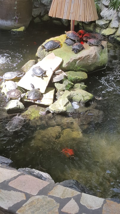 Lobby Center Parcs Park Hochsauerland