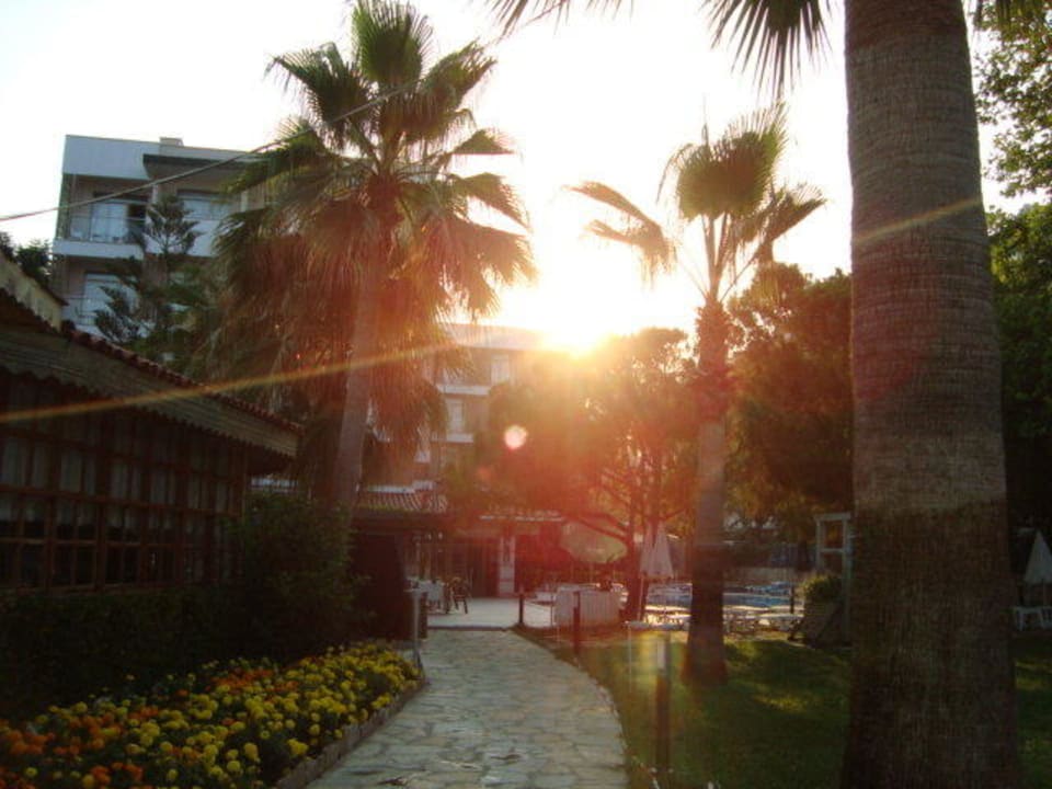 Blick vom Strand zum Hotel Trendy Side Beach Hotel - Adults only