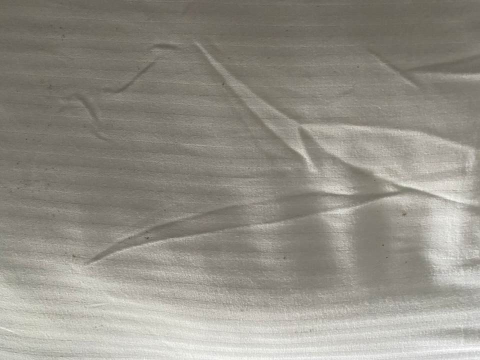 Zimmer Sunis Kumköy Beach Resort Hotel & Spa