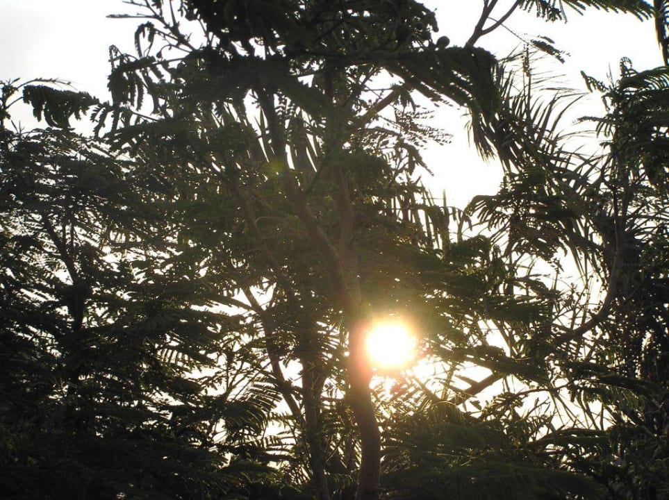 Sonnenlicht Lotus Bay Beach Resort