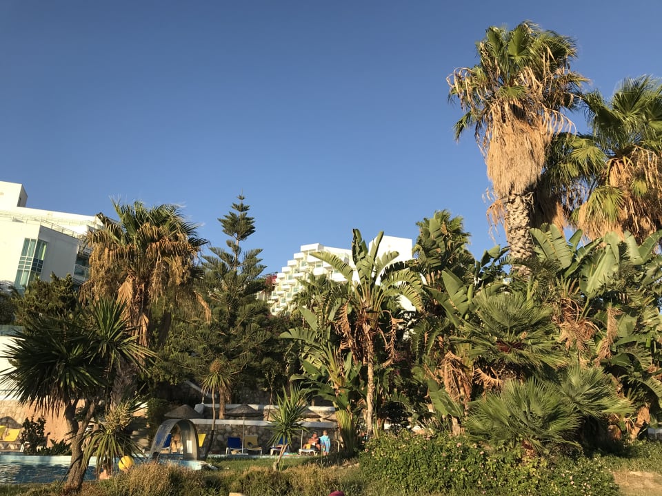 Gartenanlage Bodrum Holiday Resort & Spa