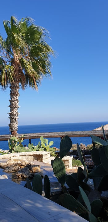Ausblick Hotel Kalithea Horizon Royal