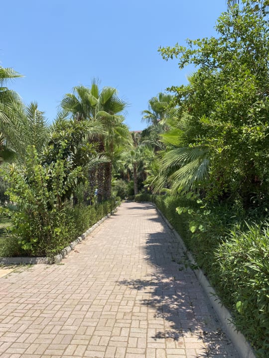 Strand Seaden Corolla Hotel