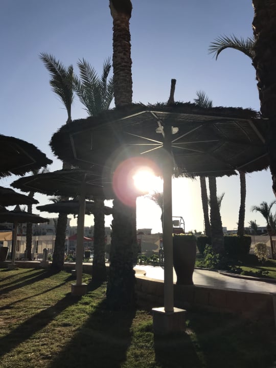 Gartenanlage Pickalbatros Palace Resort