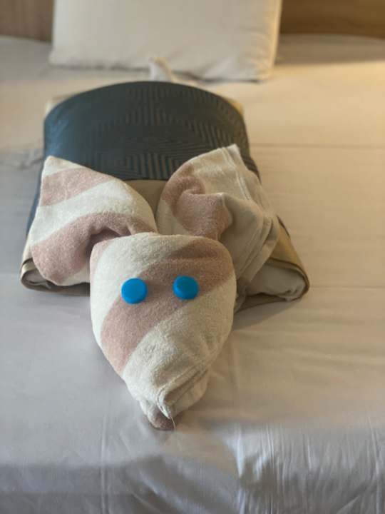 Zimmer Pickalbatros Aqua Blu Resort - Hurghada