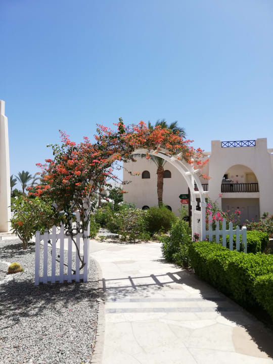 Gartenanlage Hilton Marsa Alam Nubian Resort