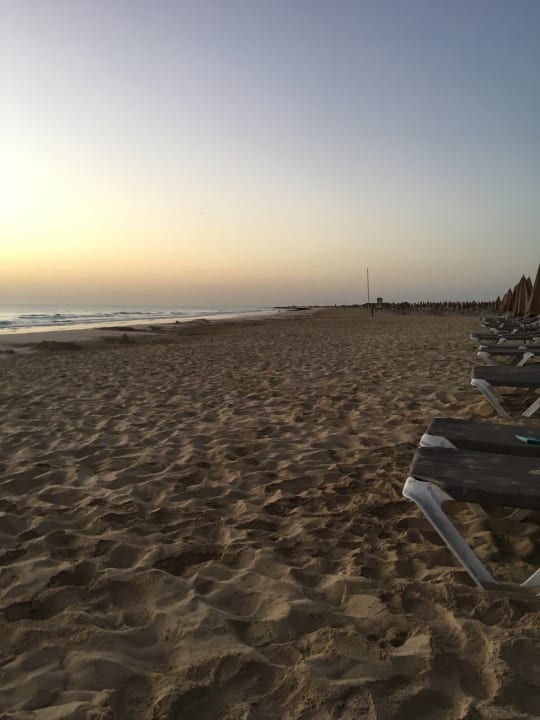 Strand Hotel Riu Oliva Beach - Hotel