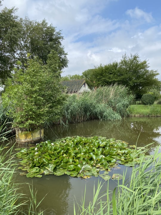 Gartenanlage Hotelpension Altes Zollhaus-Leybucht