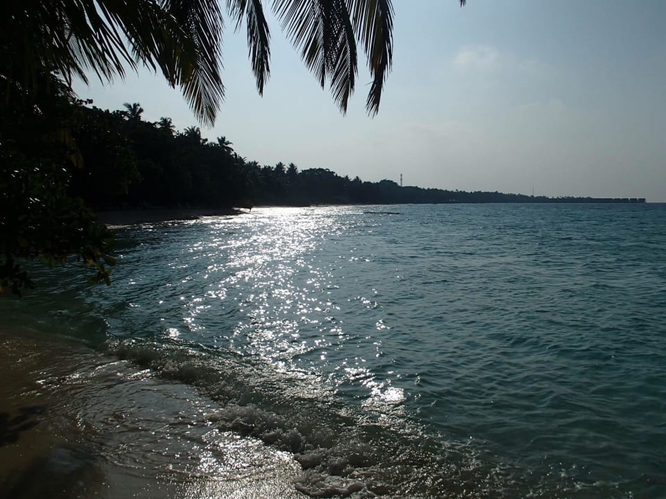Lagoonenseite Kuramathi Maldives