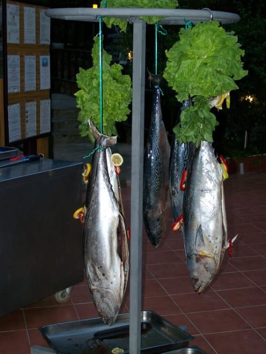 Frischer Fisch Hane Family Resort