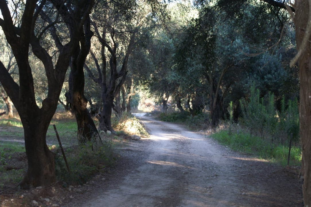 Zufahrt Stalakton Country Maisonettes