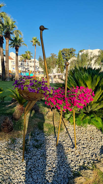 Außenansicht Monachus Family Resort Sorgun