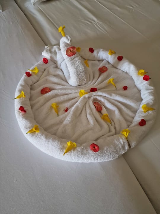 Zimmer Jaz Dar EL Madina