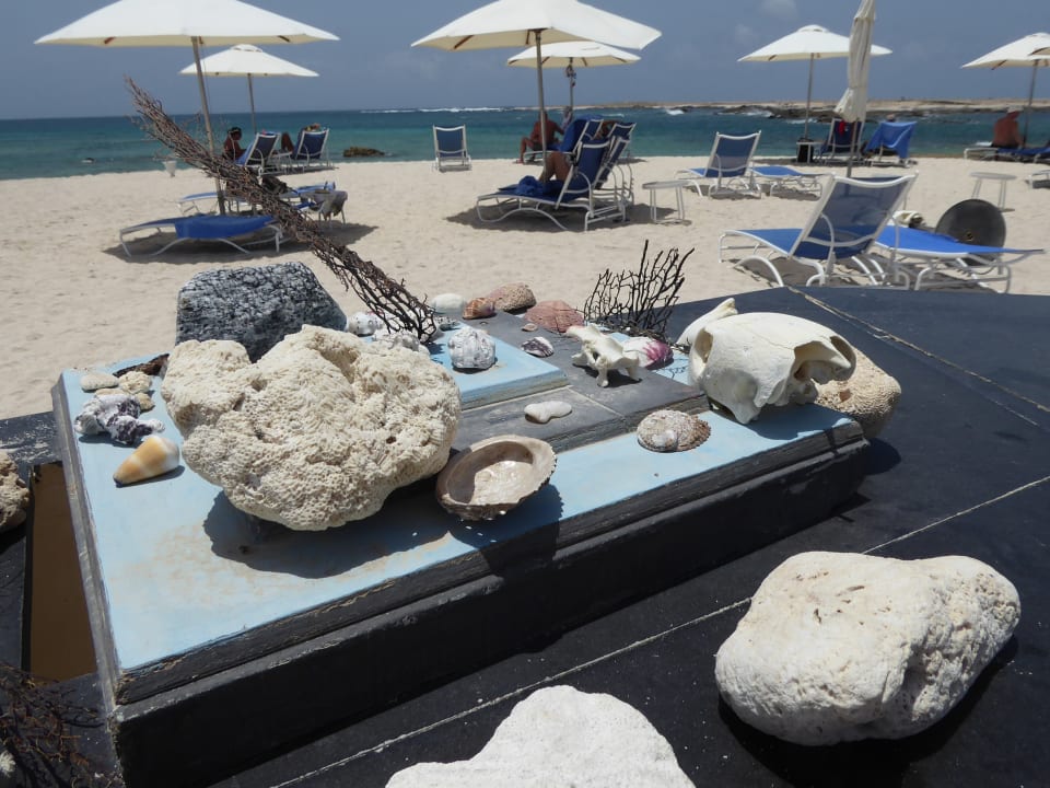 Strand Wyndham Garden Salalah Mirbat