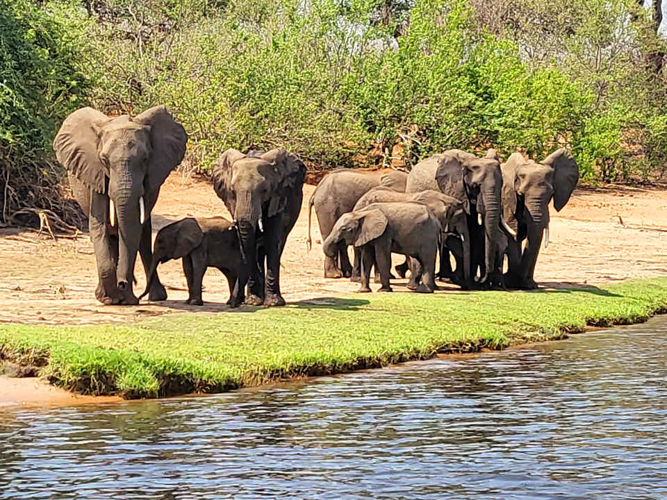 Sonstiges Ngoma Safari Lodge