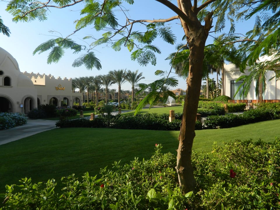 Территория - 1 линия Stella Garden Resort & Spa, Makadi Bay