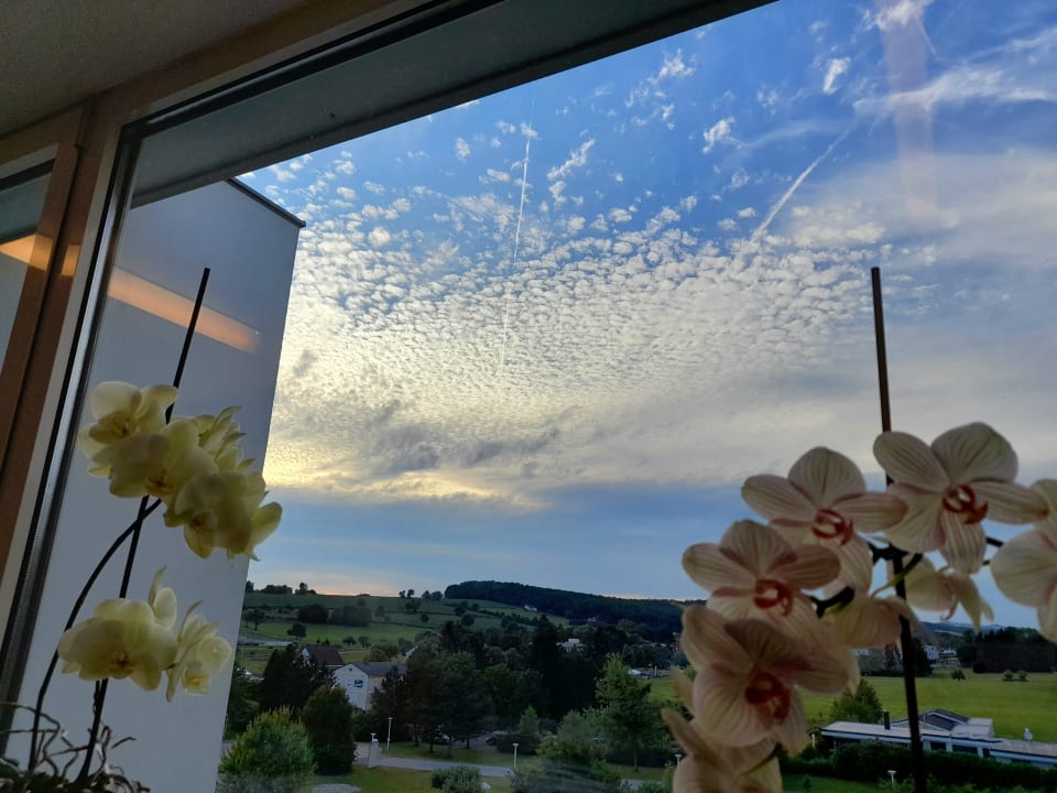 Ausblick Reduce Hotel Vital Bad Tatzmannsdorf