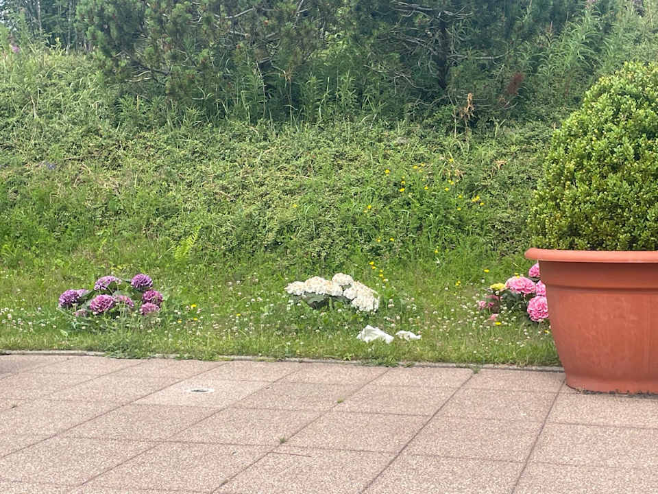 Pool Wellness- & Nationalpark Hotel Schliffkopf, BW Signature Collection by Best Western