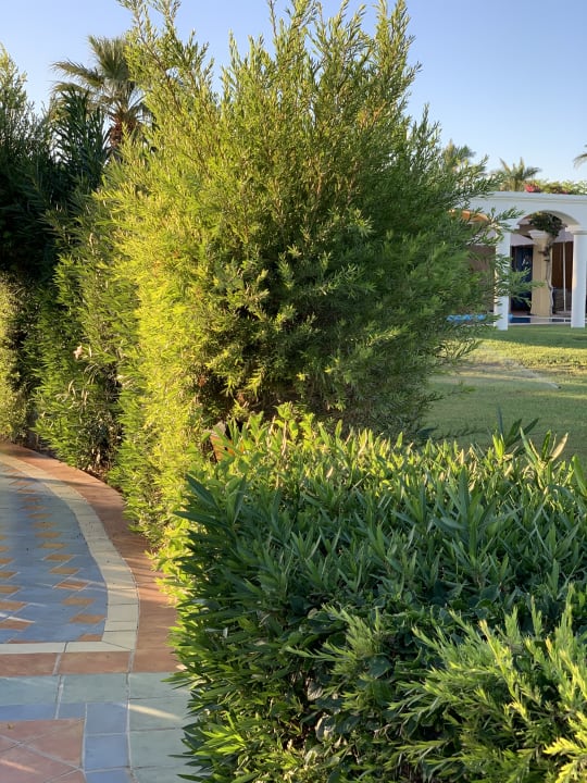 Außenansicht Atrium Palace Thalasso Spa Resort & Villas