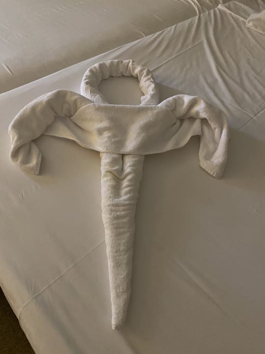 Zimmer JAZ Aquamarine Resort