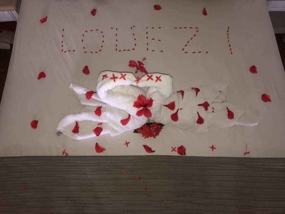 Zimmer Wyndham Alltra Samana