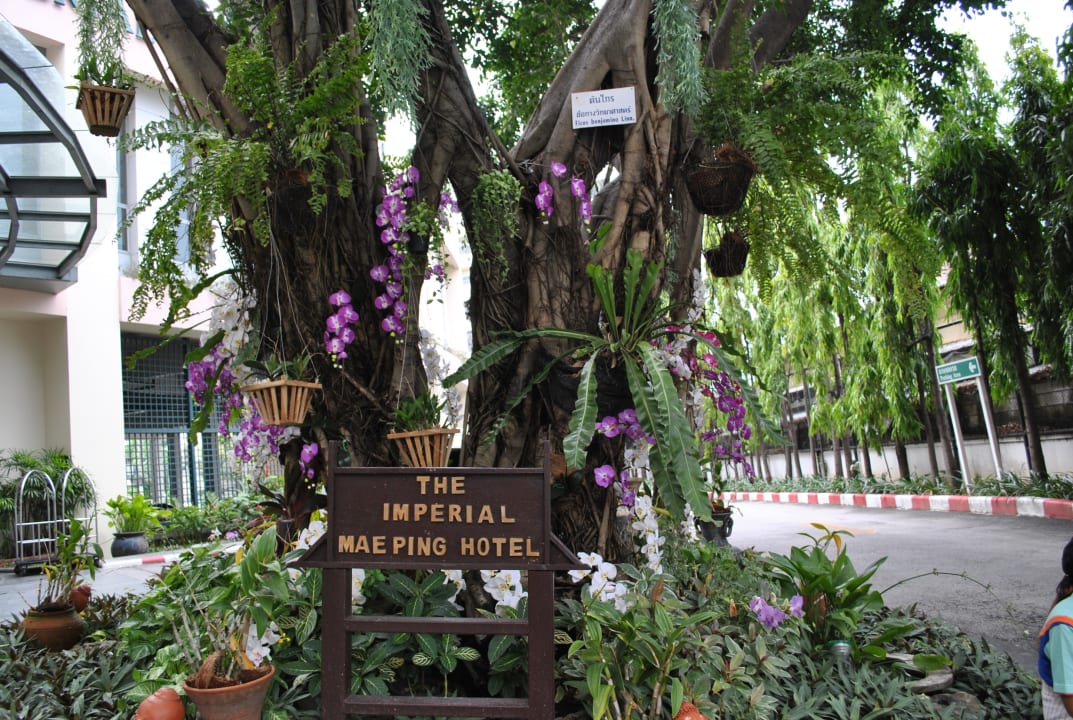 Außenansicht Hotel The Imperial Mae Ping