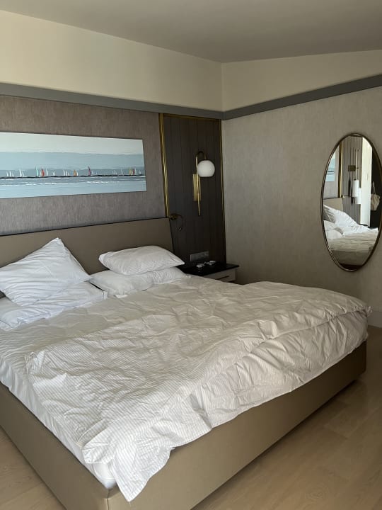 Zimmer Arum Barut Collection